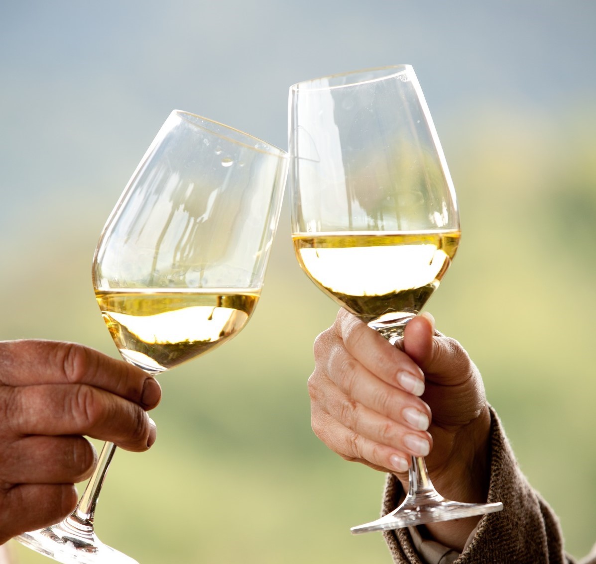 Decorative frame featuring two clinking wine glasses.