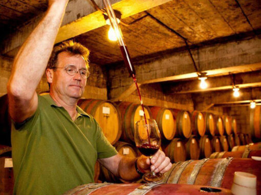 Decanter-Mount Eden Vineyards: Comparing the Cabernets 1990-2000