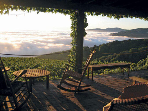 Decanter- Premium Californian Chardonnay