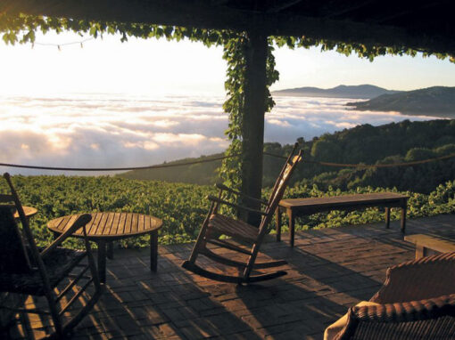 Decanter Producer profile: Mount Eden Vineyards