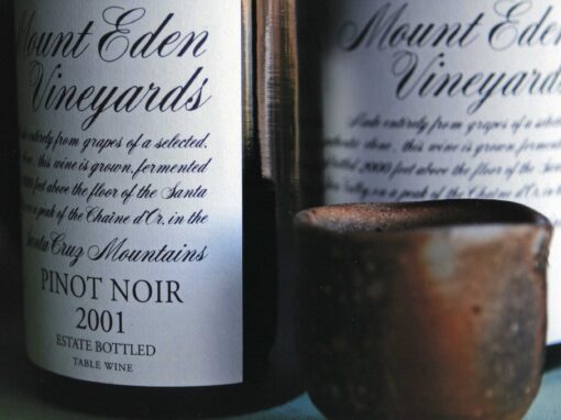 Mount Eden owners take aim at suicide with Tanaka Project