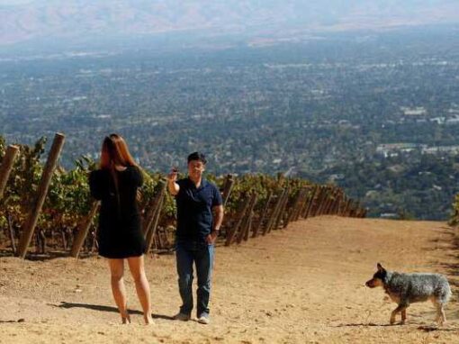 TOP 25 WINERIES Spring 2022: Best Bay Area Wineries to Visit