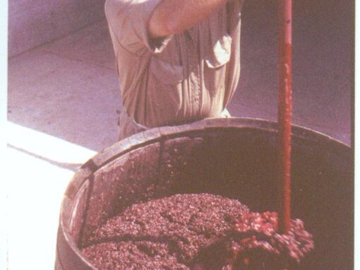 California Cabernet Sauvignon, From Beyond Napa Valley