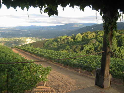 How to Spend a Sublime 72 Hours in the Santa Cruz Mountains