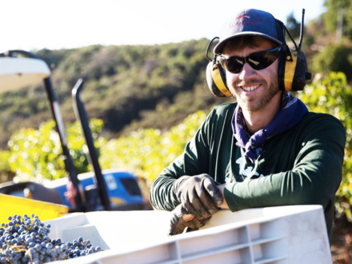 Laurie Love on Wine: New film spotlights Mount Eden Vineyards