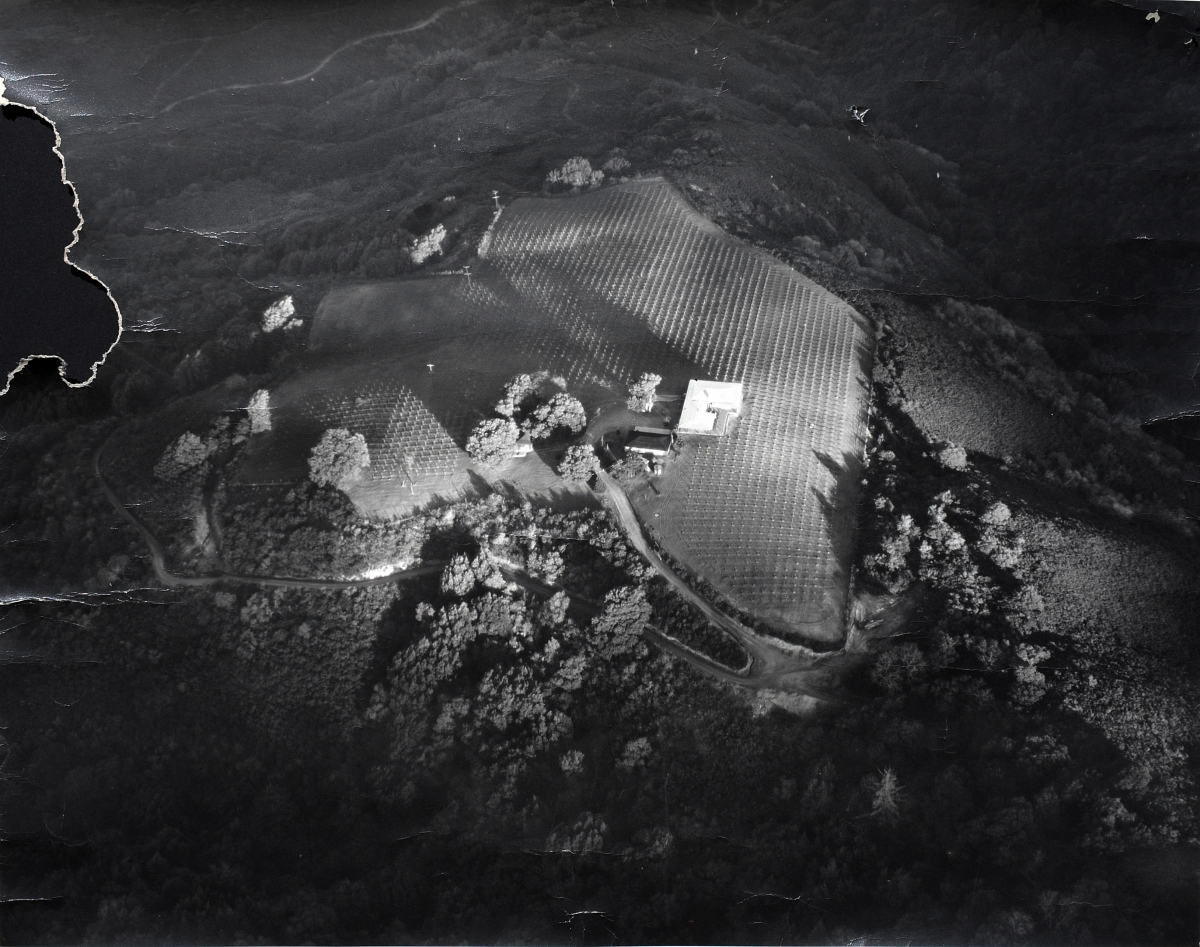 Aerial View of the Winery - 1950's                     