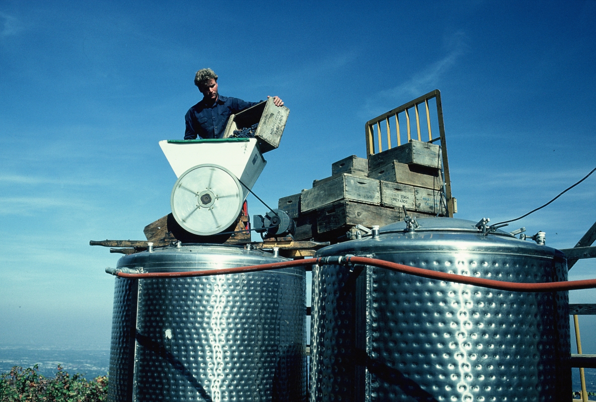 Winemaker, Jeffrey Patterson, circa 1983.                             