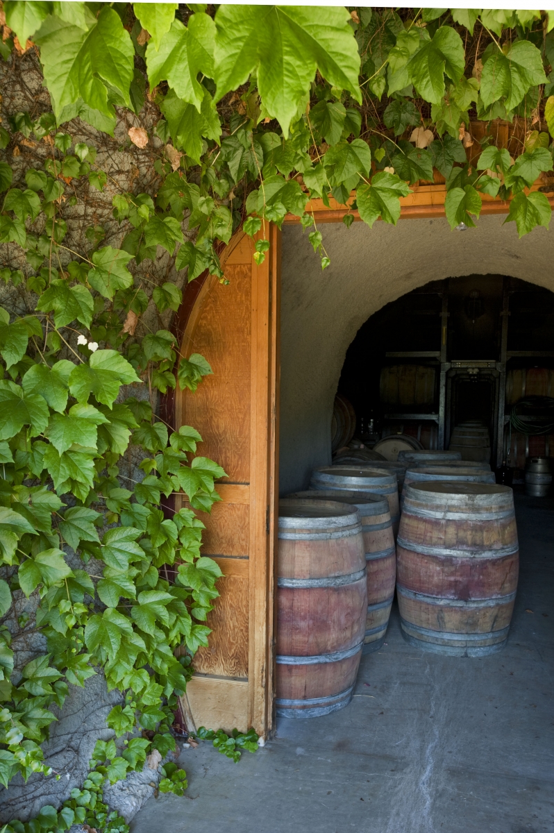 Entrance to the Cellar               