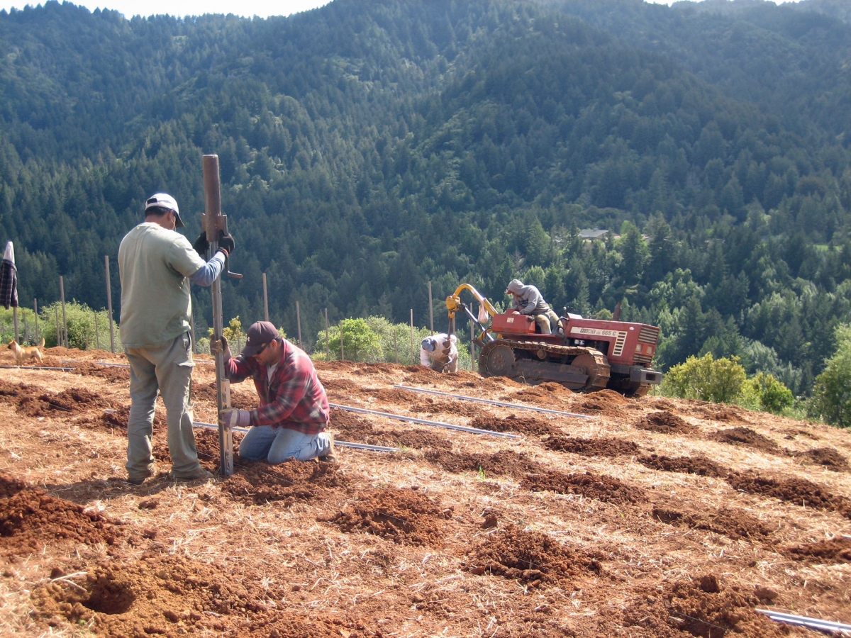 New vineyard site - Spring 2012 - planting a post is as important as planting a vine